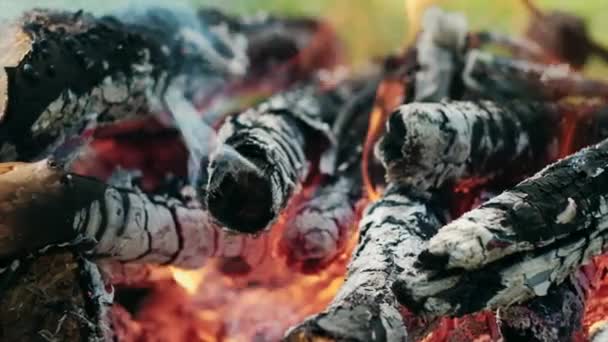 Zbliżenie Drewna Opał Płonące Kłody Piękny Spokojny Żywy Płomień Ognia — Wideo stockowe