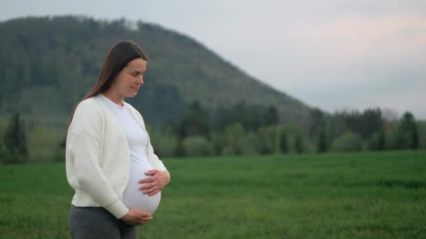 Mutlu Beyaz Hamile Bir Kadın Karnına Dokunuyor Akşam Vakti Arka — Stok video