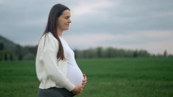 Ευτυχισμένη Όμορφη Νεαρή Έγκυος Γυναίκα Αξιολάτρευτη Μικρή Κόρη Απολαμβάνοντας Υπαίθρια — Αρχείο Βίντεο