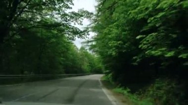 Küçük orman dağ yolundan geçen bir arabanın görüntüsü. Yolculuk ya da macera modu, doğa ve ekolojiye göre keşif. Konum için ilham verici yolculuk ya da seyahat yeri