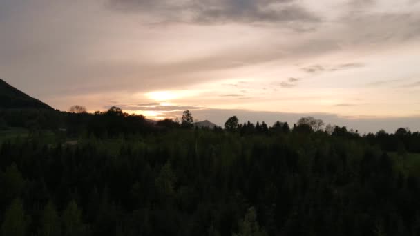 Дрон Знімав Природу Під Час Заходу Сонця Або Сходу Сонця — стокове відео