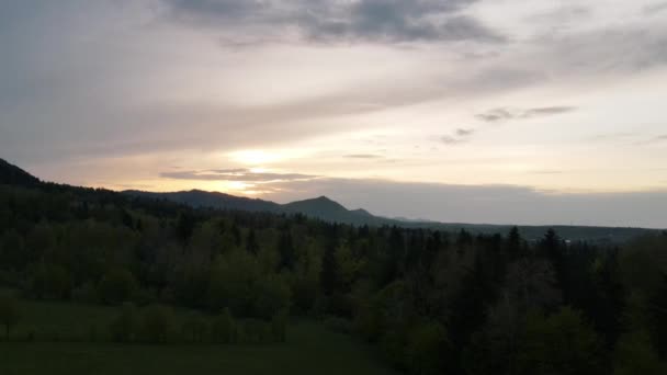 Воздушный Беспилотный Снимок Красочных Утренних Облаков Над Пышными Различными Лесами — стоковое видео