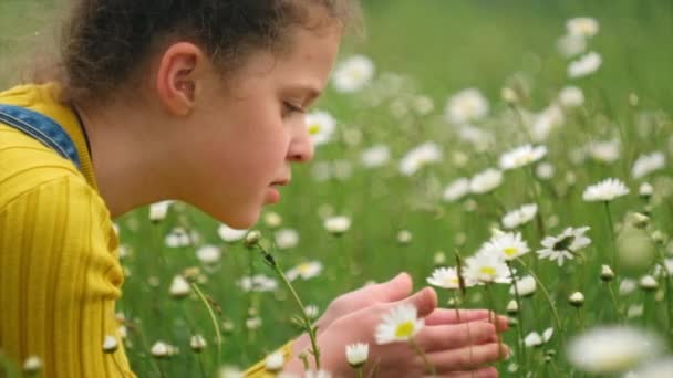 Szczęśliwy Słodkie Dziecko Dziewczyna Korzystających Słodki Zapach Białych Stokrotek Kwiaty — Wideo stockowe