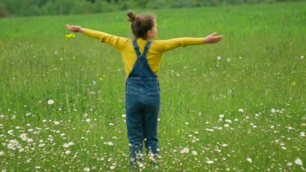 아름답게 소녀가 데이지의 들판을 지나간다 에서의 에서의 초원을 뛰어다니는아이 선택적 — 비디오