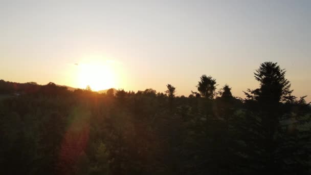 夏に田舎のシルエットの古いトウヒの森の上に素晴らしいオレンジの夕日や日の出の空中ドローンビュー 自然と景観の概念 夏の山 — ストック動画