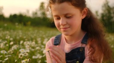 Mutlu şirin kız gün batımında yaz tarlalarında güzel beyaz papatya çiçeklerinin tadını çıkarıyor. Güzel küçük çocuk güneşli bir günde çiçekleri kokluyor. Tasasız çocuk kırsal kesimde özgürlüğün tadını çıkarıyor.