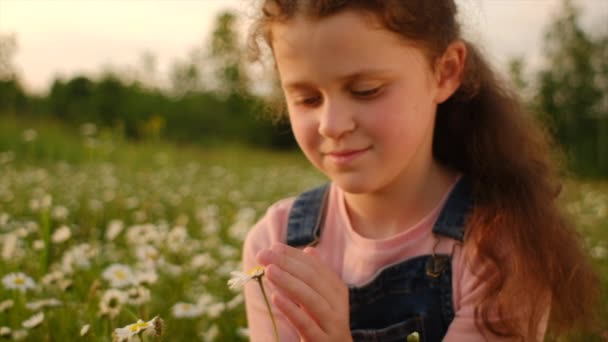 Szczęśliwy Słodkie Dziecko Dziewczyna Korzystających Piękne Białe Stokrotki Kwiaty Lecie — Wideo stockowe