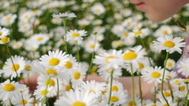 Blisko Uśmiechniętej Uroczej Młodej Białej Kobiety Pachnącej Kwiatami Rumianku Siedzącej — Wideo stockowe