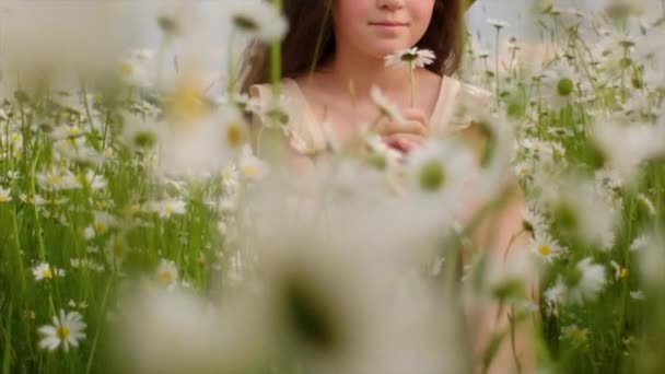 Happy Child Girl Hat Holding Beautiful Chamomile Sitting Daisy Flowers — Stock Video