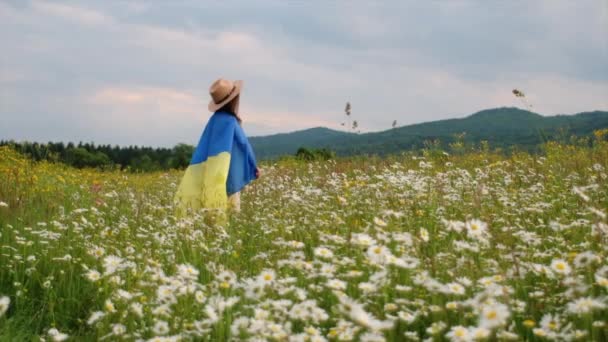 Patriotyczna Piękna Dziewczynka Kapeluszu Trzymając Ukraińską Flagę Stojącą Zielonym Polu — Wideo stockowe