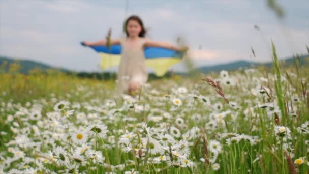 Selektywne Skupienie Szczęśliwej Nastolatki Ukraińską Flagą Letnim Parku Małe Dziecko — Wideo stockowe