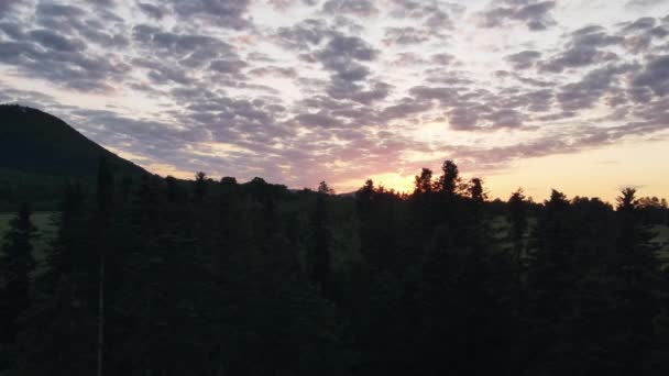 Вид Беспилотника Живописное Красочное Небо Заката Над Высоким Темным Лесом — стоковое видео