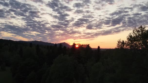 Yüksek Karanlık Ormanın Üzerindeki Renkli Günbatımının Sinematik Drone Görüntüsü Yaz — Stok video