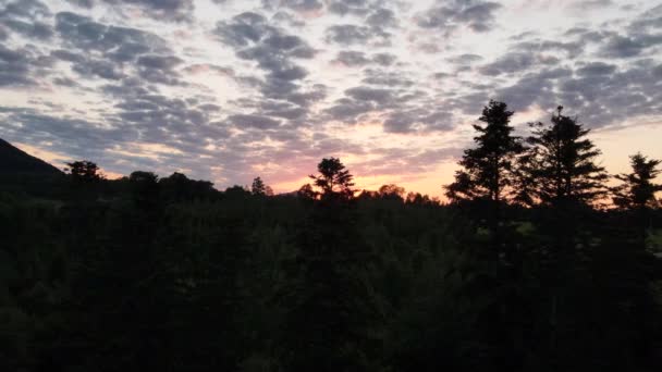 Bergwoud Landschap Luchtvlucht Verbazingwekkende Zonsondergang Licht Epische Hemel Naaldgroene Bomen — Stockvideo