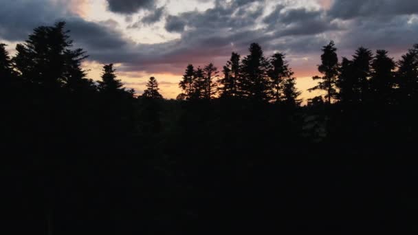 Вдохновляющий Удивительный Природный Чудо Беспилотник Сделал Снимок Силуэта Леса Время — стоковое видео