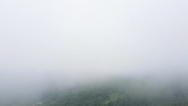 夏の日に美しい山々の背景に様々な森の中で圧延朝霧霧の空中ドローンビュー 木々の峰 自然のままの 手付かずの自然保護区 自然背景際立っている — ストック動画