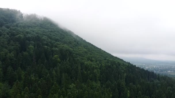 春や夏の日の朝 山を飛んで神秘的な緑の森の中を霧 空中ドローンビュー3つのピークは 原始的で手付かずの自然保護区が際立っています 自然概念 — ストック動画