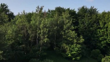 Sakin, güneşli bir günde kırsal bölgelerin, evlerin ve yüksek dağların insansız hava aracı görüntüleri. Turizm ve seyahat tutkusu için bir yer. Büyüleyici ve doğayı görme kavramı