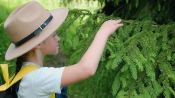 모자쓴 꼬마가 가문비나무 가지를 부드럽게 만진다 보호와 보호하는 새로운 세대의 — 비디오