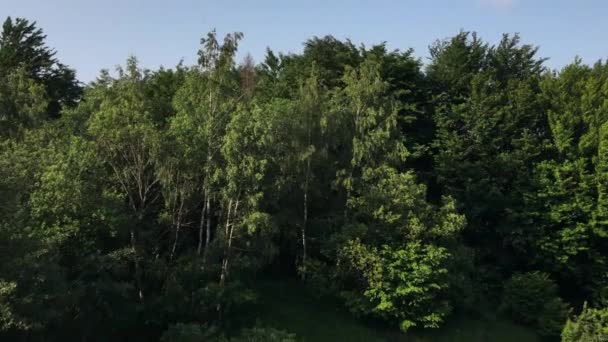 Aereo Drone Filmato Campagna Case Alte Montagne Calma Bella Giornata — Video Stock