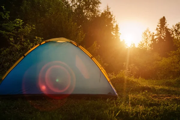 Tente Camping Bleue Située Près Belle Forêt Verte Pendant Lever — Photo