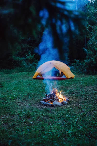Brûlure Feu Dans Camp Touristique Brûler Bois Soirée Chaude Style — Photo