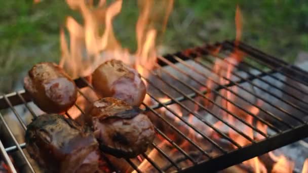 Yaz Mevsiminde Kamp Ateşinde Izgara Sosislerine Yakın Çekim Sıcak Bir — Stok video