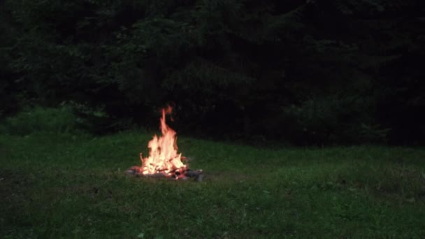 Ciepłe Ognisko Wieczorem Ogień Płonie Nocy Pobliżu Ciemnego Lasu Piękne — Wideo stockowe