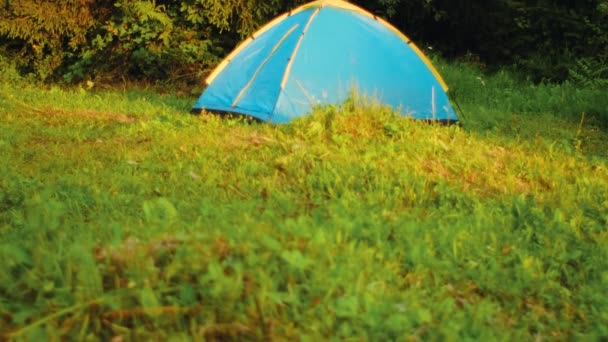 夏日的早晨 明亮的蓝色帐篷坐落在美丽的绿色森林附近 流浪欲望冒险的概念 远足的生活方式 探索鸟类丑闻的本质 — 图库视频影像