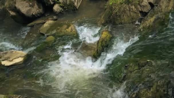 Wasser Natürlichen Bächen Nationalpark Naturschutzgebiet Oder Naturschutzgebiet Spätsommer Einem Ruhigen — Stockvideo