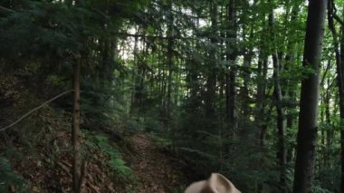 Şapkalı, genç bir kızın yaz aylarında görkemli ormanın tadını çıkardığı seçici odak noktası. Gezgin küçük çocuk taze dağ havası soluyor. Seyahat tutkusu, çocukluk, macera ve seyahat konsepti