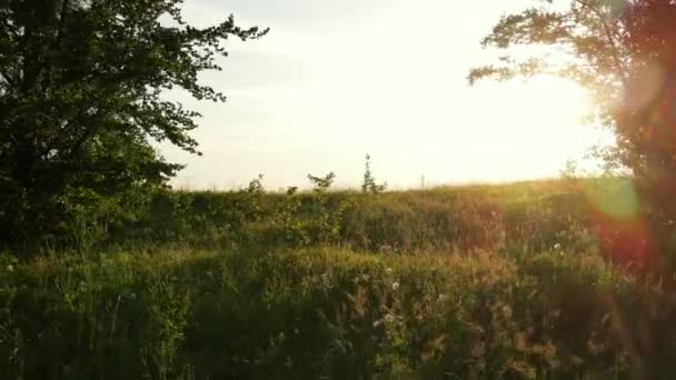 暖かい素晴らしい日の出の間に緑の森と美しい雄大な山の上空飛行 夏の田園風景と落ち着いた夕日空のドローンビュー スピリチュアル インスピレーション バケーション コンセプト — ストック動画