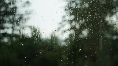 Yaz ormanı arka planında cam yüzeyine yağmur damlaları düşer. Akşam vakti doğal sonbahar ağaçları. Bulanık camlara akan su damlaları. Doğa ve mevsim kavramı