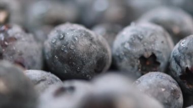 Küçük su damlalarıyla taze yaban mersinine yakın durun. Sulu dut arkaplanı. Lezzetli meyve toplama zamanı. Sağlıklı gıda konsepti. Damlacıklı gerçekçi vitamin besinleri