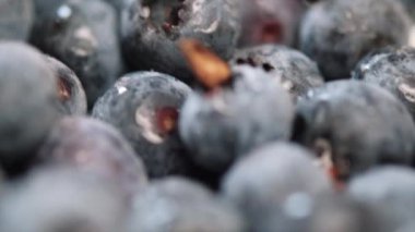Su damlalı çiğ yaban mersininin seçici odağı. Taze, sulu dut arkaplanı. Lezzetli meyve toplama zamanı. Beslenme için yiyecek, tıbbi bitki. Damlacıklı gerçekçi vitamin besinleri