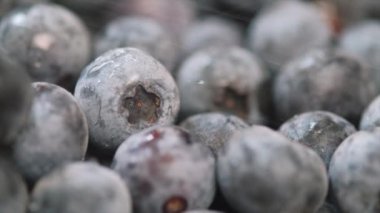 Küçük su damlaları taze yaban mersinlerinin üzerine düşer. Ekranı olgun yaban mersinleriyle dolduruyorum. Seçici odaklanma. Sağlıklı gıda konsepti