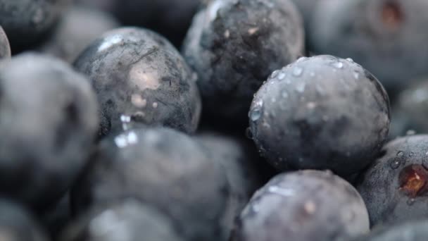 水滴で新鮮なブルーベリーの選択的な焦点 ジューシーなビルベリーの背景 おいしい甘いフルーツの時間を収穫する 食事療法 薬用植物のための食品 ドロップレットによる現実的なビタミン栄養 — ストック動画