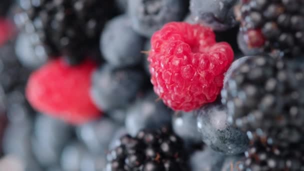 Κάθετη Βίντεο Φρέσκα Φρούτα Και Μούρα Ακατέργαστα Βιολογικά Μούρα Αγρότη — Αρχείο Βίντεο