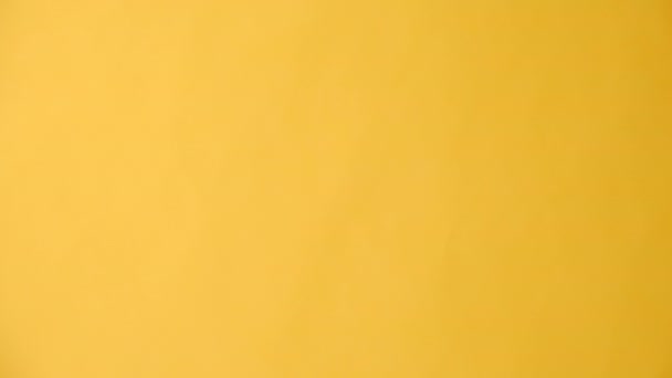 ภาพแนวต งของม ยวมะนาวเล แยกจากพ นหล เหล องในสต การตระหน ขภาพจ ขภาพจ — วีดีโอสต็อก