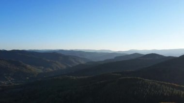 Mavi gökyüzünün ve ağaçların sinematik drone görüntüleri sonbahar vahşi tepelerini kaplıyor. Soğuk, sakin bir akşam saatinde dağ ormanı manzaralı hava uçuşları. Yaprak döken ve yemyeşil ağaçlar. Sağlıklı olmak için açık hava yaşam tarzı