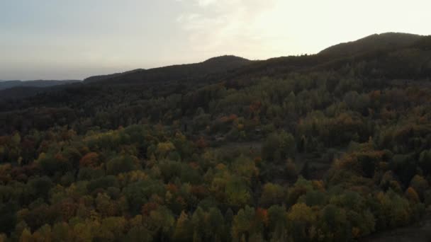 Drone Uitzicht Bewolkte Hemel Bomen Bedekken Herfst Heuvels Tijdens Rustige — Stockvideo