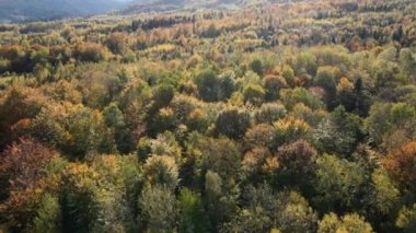 Sakin günbatımında muhteşem sonbahar ormanının hava aracı görüntüsü. Üç tepe göze çarpıyor, el değmemiş ve el değmemiş doğa koruma alanı, doğa arka planı. Gezgin şehvet konsepti