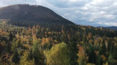 Güzel sonbahar ormanı, bulutlu gökyüzü ve güneşli bir günde dağların hava aracı görüntüsü. Saf manzaranın seyyar konsepti, hava kamerası ağaç tepesi ve ağaç tepesi görüntüsü. Gezgin şehvet hedefi