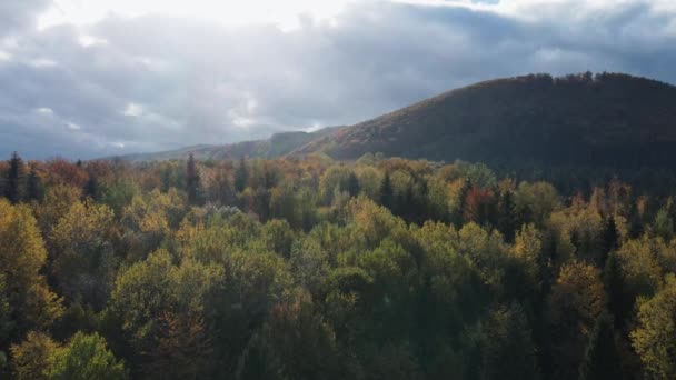 美丽而沉稳的史诗般的无人驾驶飞机拍摄的令人叹为观止的山景 覆盖着令人叹为观止的秋天森林 映衬着夕阳西下的天空 流浪欲望 目的地和旅行概念 — 图库视频影像
