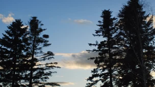 Paisaje Forestal Bajo Noche Increíble Cielo Azul Con Nubes Colores — Vídeos de Stock