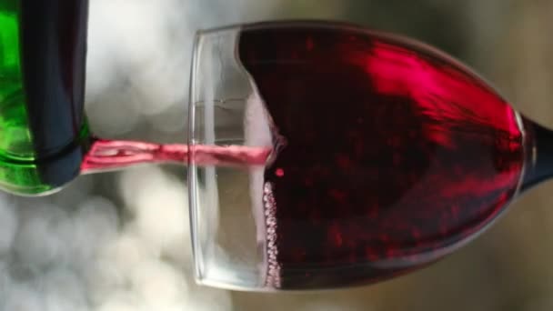 Verticale Video Van Het Gieten Van Rode Wijn Uit Fles — Stockvideo