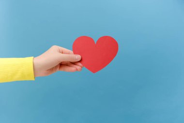Kırmızı kalbi olan bir kadının yakın çekimi, duygusal romantik aşkın şirin bir sembolü, Sevgililer Günü 'nde tebrik kartı, 14 Şubat konsepti, stüdyonun mavi arka plan duvarından izole edilmiş.