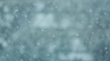 Şiddetli kar yağışı ya da ormanda kar fırtınasının seçici odak noktası. Soğuk mevsimin esinlenmesi için doku ve desen. Doğa ve kış kavramı. Yavaş çekim