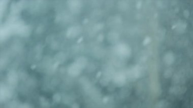 Çam ağacı ormanlarına düşen şiddetli kar fırtınası kış havası. Yavaş çekim