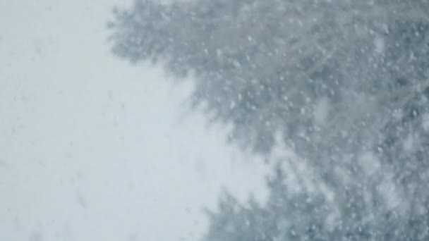 バックグラウンドフォレストと空のツリリングで重い冬の降雪や吹雪の垂直ビデオ 寒い季節のインスピレーションのためのテクスチャとパターン 冬のコンセプト スローモーション 選択的なフォーカス — ストック動画